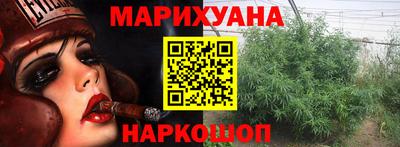 амф Кингисепп