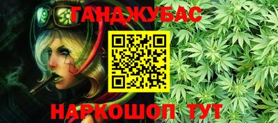амф Кингисепп