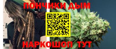 амф Кингисепп