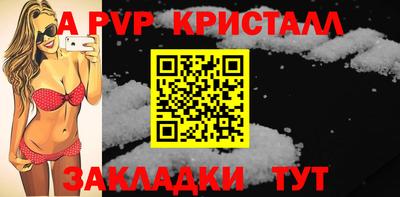 амф Кингисепп