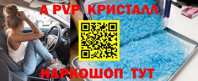 амф Кингисепп