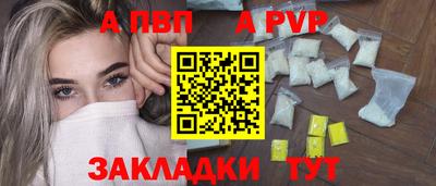 амф Кингисепп