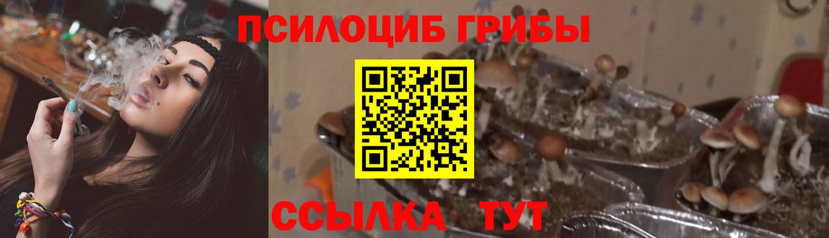 Галлюциногенные грибы прущие грибы  Вход с VPN  продажа наркотиков  Кохма  Псилоцибиновые грибы мухоморы 