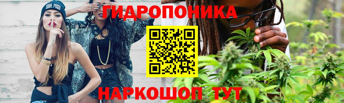 МАРИХУАНА индика Кохма